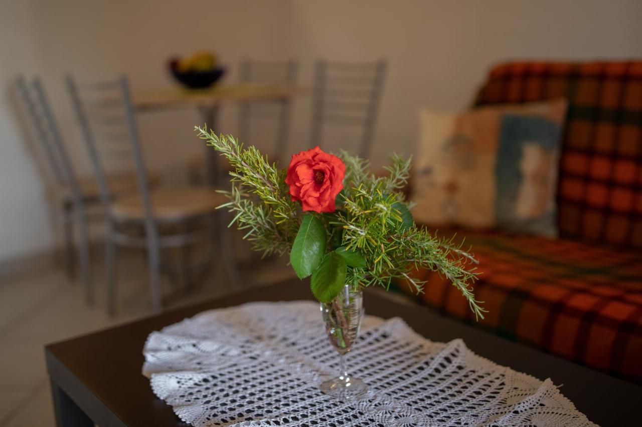 Apartman Kristo Vir Exteriör bild